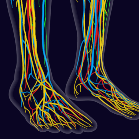 Neuropatías periféricas